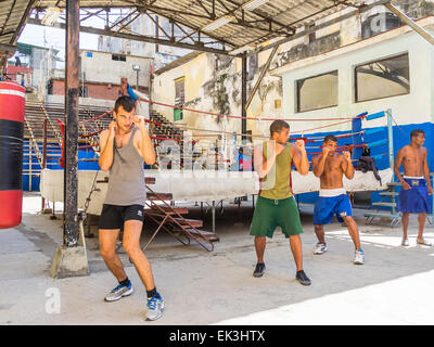 Kubanischer Boxer trainieren außerhalb von Boxring an der Rafael Trejo Boxing Gym in Havanna. Stockfoto