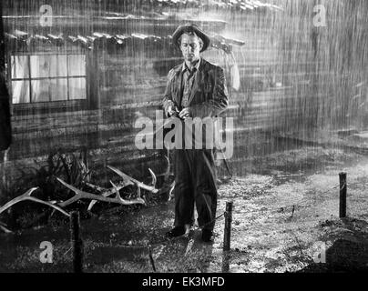 Alan Ladd, am Set des Films "Shane", 1953 Stockfoto