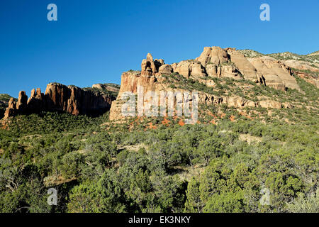 Koksöfen (rechts) vom Canyon Denkmäler Trail, Colorado National Monument, Grand Junction, Colorado USA Stockfoto