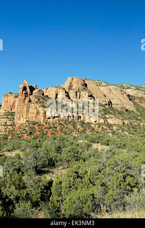 Koksöfen von Canyon Denkmäler Trail, Colorado National Monument, Grand Junction, Colorado USA Stockfoto