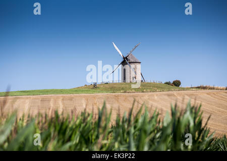 Windmühle, Moulin de Moidrey in der Nähe von Abtei Mont Saint Michel, Pontorson, Normandie, Frankreich, Europa Stockfoto