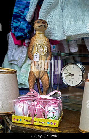 Die eher skurrilen Schaufenster von einem Charity-Shop, mit dem Modell ein Erdmännchen und ein Paket von dekorierten Eiern. Stockfoto