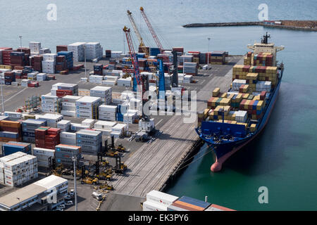 Hafen von Napier in Neuseeland. Container, die Ladefläche mit Frachtschiff. Stockfoto