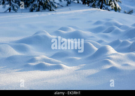 Snow-Hill im Wald Stockfoto