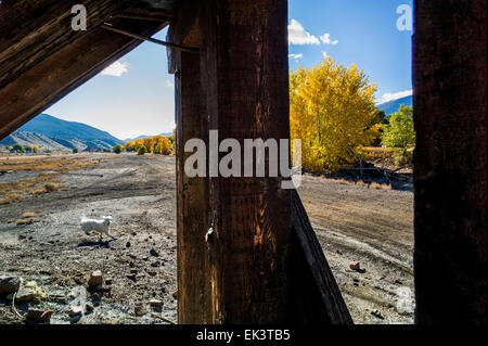 Das Land über den Arkansas River von der Innenstadt von Salida, Colorado, ist freie & unfruchtbar, im Besitz der Union Pacific Railroad. Stockfoto