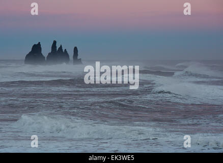 Meer-Stacks stehen stolz im Abendlicht und stürmischer See herum Vik, auf der südlichen Küste von Island Stockfoto