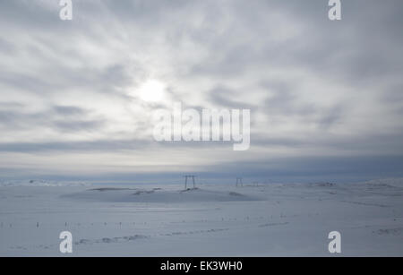 Strommasten punktieren die verschneite Landschaft in Island Stockfoto