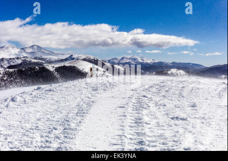 Ansicht von Düsterwald (Wanderung, Gelände), Monarch Mountain-Ski & Snowboard resort an der kontinentalen Wasserscheide in Colorado, USA Stockfoto