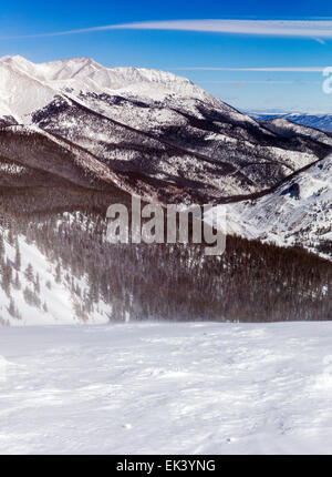 Ansicht von Düsterwald (Wanderung, Gelände), Monarch Mountain-Ski & Snowboard resort an der kontinentalen Wasserscheide in Colorado, USA Stockfoto