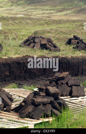 Torfabbau in Schottland, UK Europe Stockfoto