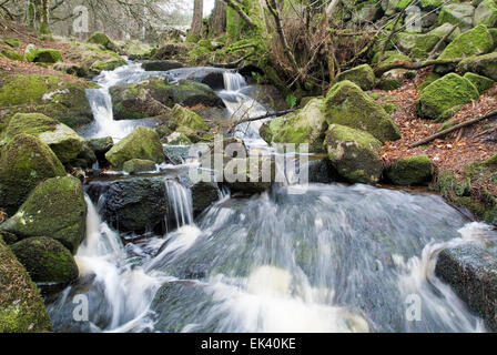 Wasserfall Wicklow Berge, Irland, Europa Stockfoto