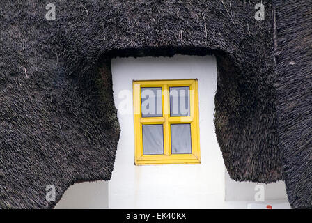 Gelbes Fenster Haus Reetdach in Dunmore waterford Stockfoto