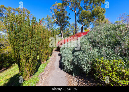 Mt hohen botanischen Garten Adelaide Hills South Australia australischen Landschaft Landschaften Herbst touristische Attraktion Attraktionen Stockfoto