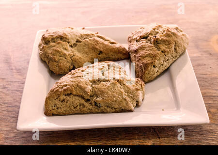 Frisch gebackenen Zimt und Rosinen Scones auf einer weißen quadratischen Platte Stockfoto