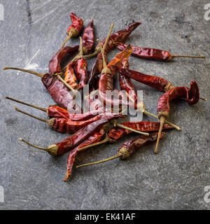 Im Bild eine Reihe von Chilischoten Italienisch, Turri Sardinien. Stockfoto