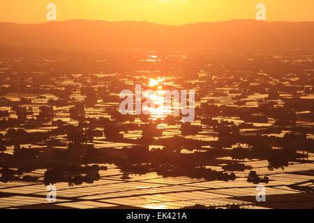 Sonnenuntergang auf überfluteten Reisfeld, Sankyoson, Toyama, Japan Stockfoto