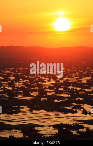 Sonnenuntergang auf überfluteten Reisfeld, Sankyoson, Toyama, Japan Stockfoto