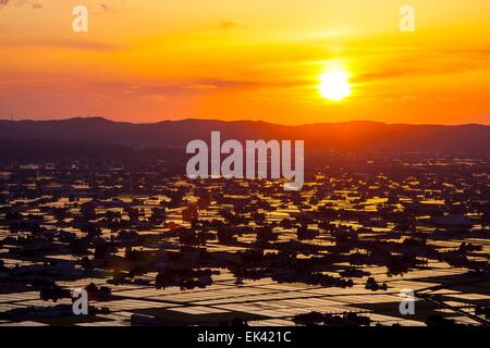 Sonnenuntergang auf überfluteten Reisfeld, Sankyoson, Toyama, Japan Stockfoto