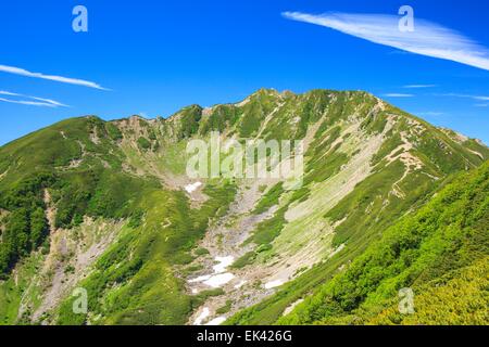 Südalpen Mt. Senjougatake, Yamanashi, Japan Stockfoto