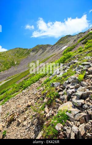 Südalpen Mt. Senjougatake, Yamanashi, Japan Stockfoto