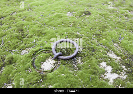 Alter Ring in einem Grab, Detail von einem alten Grab auf einem Friedhof Stockfoto