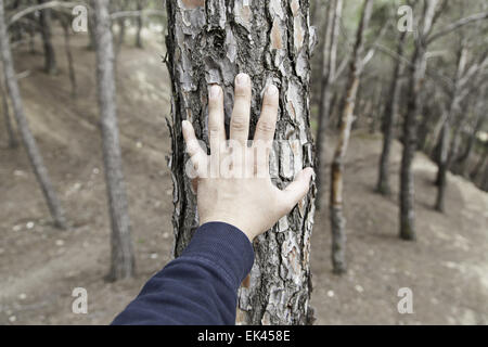 Männliche Hand Berühren eines Baumes, Detail der Liebe zur Natur, Umwelt Stockfoto