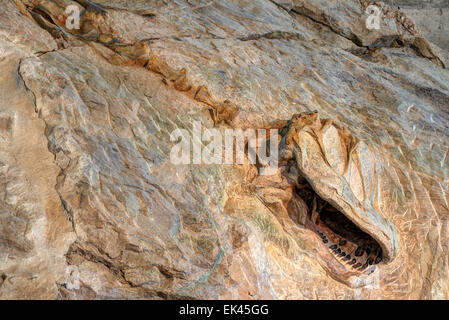 Camarasauridae Skelett In der Morrison-Formation im Dinosaur National Monument Stockfoto