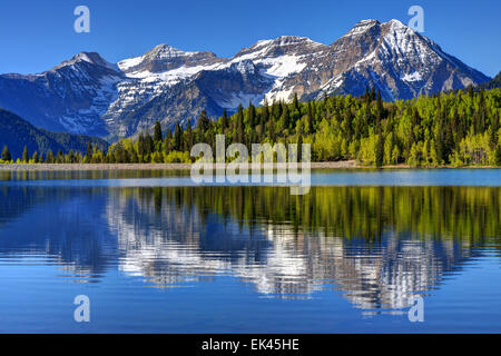 Mount Timpanogos spiegelt sich In silbernen flachen Stausee - Utah Stockfoto