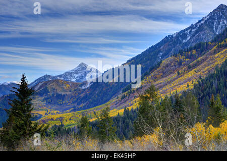 Fallen Sie mit Kaskade Peak und Sundance von Alpine Loop - Wasatch Mountains - Utah Stockfoto