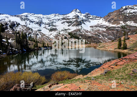 Dromedar Peak spiegelt sich im See Florenz. Wasatch Mountains im Frühjahr. Big Cottonwood Canyon. Utah Stockfoto