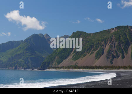 Strand in Kenai Fjords Nationalpark in der Nähe von Seward, Alaska. Stockfoto