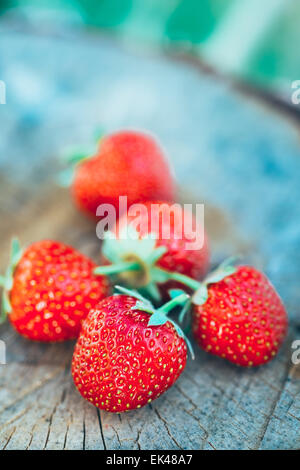Strawberries. Organic Berries Closeup. Juicy Fresh Ripe Red Strawberries On An Old Birch Stump. Toned Image Stockfoto