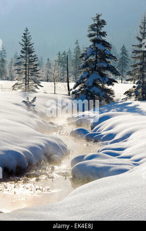 Quelle der kleinen Bach namens Ammer in Bayern; Deutschland; am kalten Wintertag mit viel Schnee Stockfoto