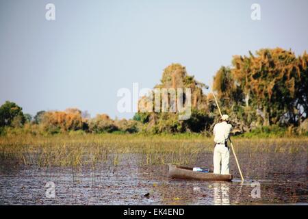 Afrikanischer Mann auf Holzboot (Mokoro) im Okavango-Delta Stockfoto