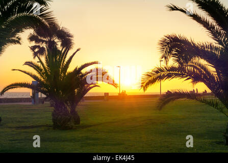 Sonnenuntergang in der Strand von Maspalomas. Gran Canaria. Kanarische Inseln Stockfoto