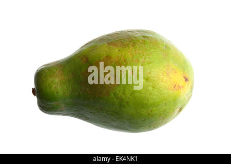 Tropische Früchte, Frucht Papaya, Carica papaya Stockfoto