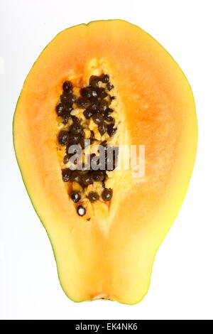 Tropische Früchte, Frucht Papaya, Carica papaya Stockfoto