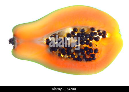 Tropische Früchte, Frucht Papaya, Carica papaya Stockfoto