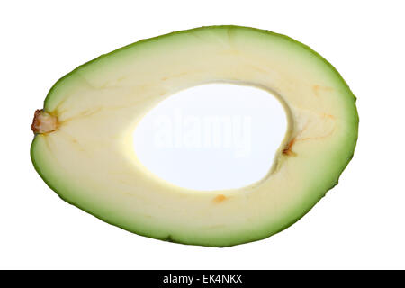 Avocado, Persea americana Stockfoto