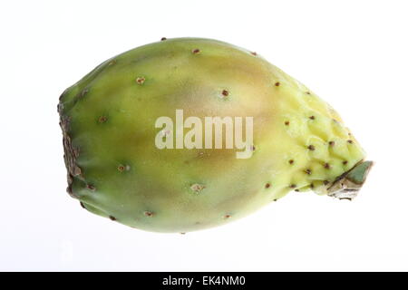 Tropische Früchte, Feigenkaktus, Opuntia Ficus-Indica, Stockfoto