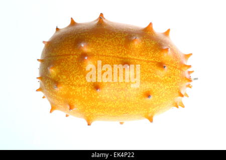 Kiwano, gehörnte Melone Frucht, Gurke Horn, Horn-Melone, Cucumis metuliferus Stockfoto