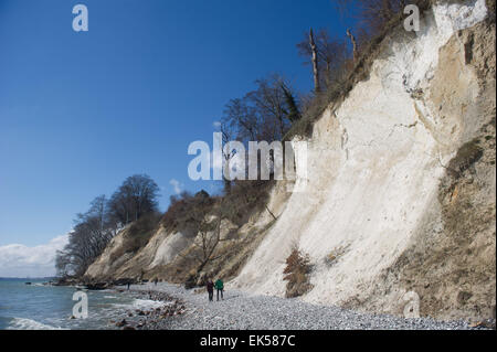 Blick auf die Kreidefelsen im Jasmund National Park in der Nähe von Sassnitz auf der Insel Rügen, Deutschland, 6. April 2015. Touristisches Zentrum des Koenigsstuhl National Park hat eine Warnung auf die Gefahr der Kreide Stücke lose zu brechen. Schwere Regenschauer während der Frühjahrssaison können dazu führen, dass Erosionen der Klippen. Foto: Stefan Sauer/dpa Stockfoto