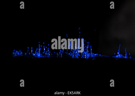 blauer Farbe spritzt Stockfoto