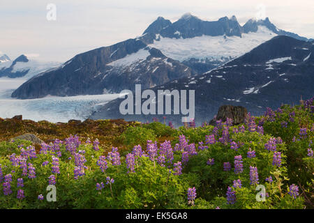 Von Mount Buggy weiß über dem Mendenhall-Gletscher, Tongass National Forest, Alaska Stockfoto