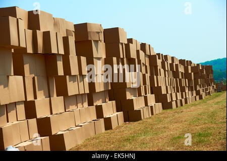 Große Stapel brauner Kartonschachteln, die in langen Reihen im Freien auf Gras unter klarem blauem Himmel angeordnet sind, bilden ein sich wiederholendes Muster, das auf Stürmen hindeutet Stockfoto