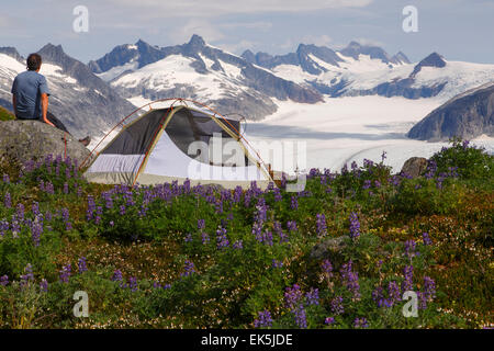 Camping am Mount Kinderwagen White über dem Mendenhall-Gletscher, Tongass National Forest, Alaska. Stockfoto