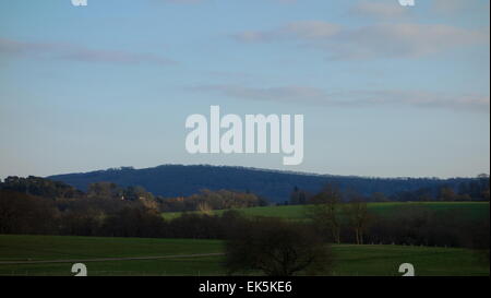 Grat der South Downs im Abendlicht, März. Silhouetten der Bäume am Horizont, Abstand blau Stockfoto