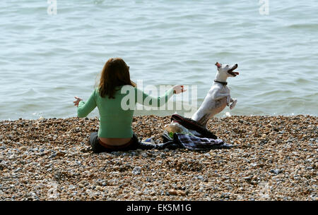 Hove, Großbritannien. UK Weather: Eine junge Frau wirft Kiesel für ihren Hund, während sie heute das sonnige Wetter an der Küste von Hove genießen. Die Wettervorhersage ist für den Rest der Woche fair. Credit: Simon Dack/Alamy Live News Stockfoto