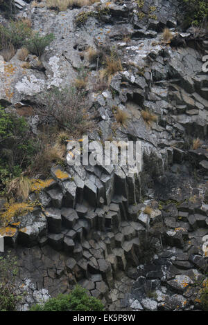 säulenförmigen Basalt der Pyramiden Lava Rock formationen Otago Peninsula Dunedin Neuseeland Südinsel erosion Stockfoto