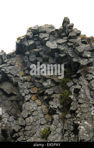 säulenförmigen Basalt der Pyramiden Lava Rock formationen Otago Peninsula Dunedin Neuseeland Südinsel erosion Stockfoto